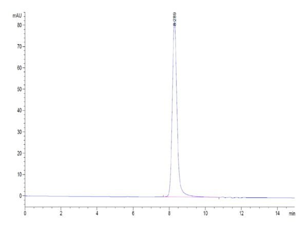 HPLC of Mouse PSMP Protein 3578