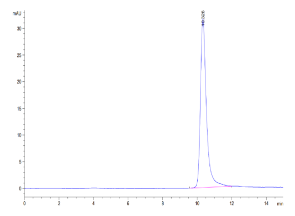 HPLC of Mouse TIMP-2 Protein 3583