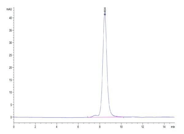 HPLC of Mouse SEMA4B Protein 3588