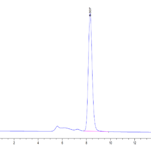 HPLC of Mouse CLEC4A/DCIR Protein 3600