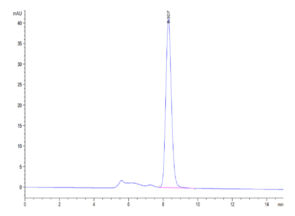 HPLC of Mouse CLEC4A/DCIR Protein 3600