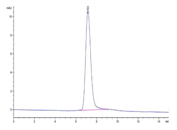 HPLC of Human MANSC1 Protein 3603