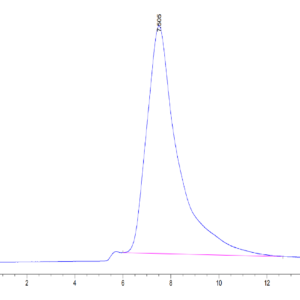 HPLC of Human CLEC10A Protein 3612