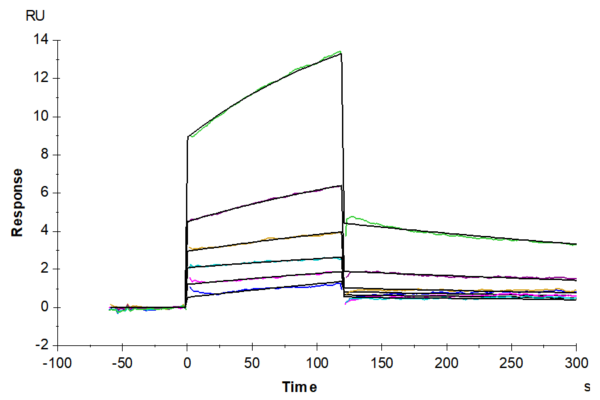 SPR with Mouse TRAIL/TNFRSF10 Protein 3614