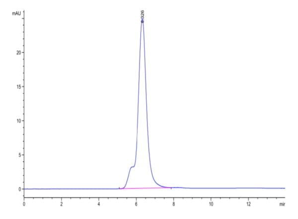 HPLC of Mouse SEZ6 Protein 3619