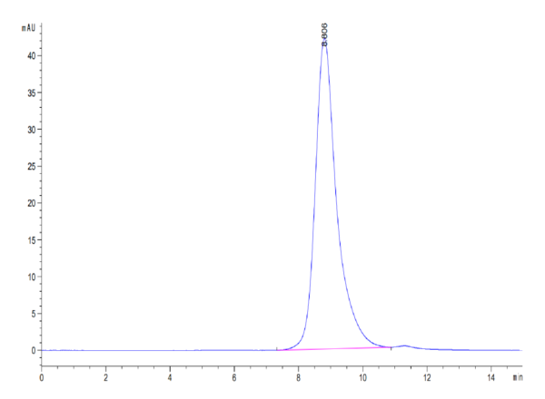 HPLC of Biotinylated Human FGFR2 beta (IIIb) Protein 3620