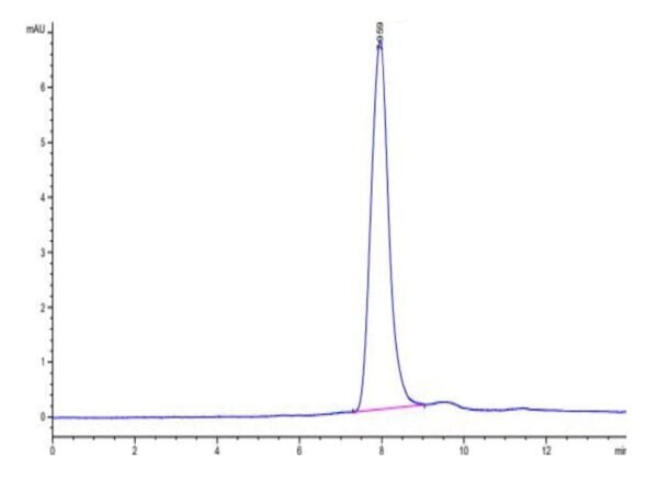 HPLC of Mouse LYPD3 Protein 3624