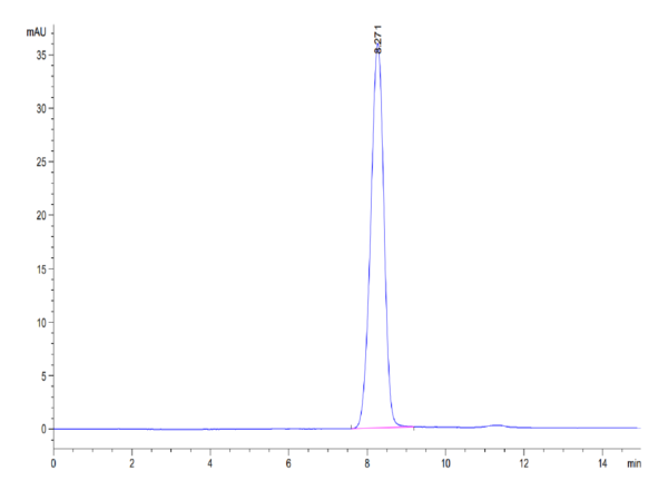 HPLC of Human EphB3 Protein 3626