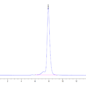 HPLC of Human VSTM5 Protein 3632