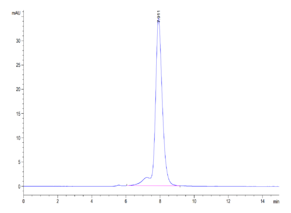 HPLC of Human VSTM5 Protein 3632