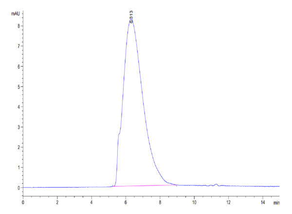 HPLC of Mouse Glypican 2/GPC2 Protein 3637