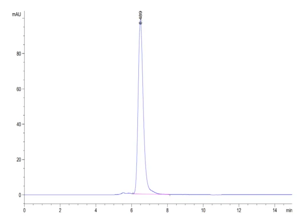 HPLC of Biotinylated Human Axl Protein (Primary Amine Labeling)  3642