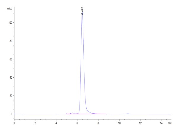HPLC of Human AXL Protein 3643