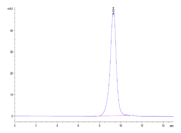 HPLC of Cynomolgus FOLR2 Protein 3646