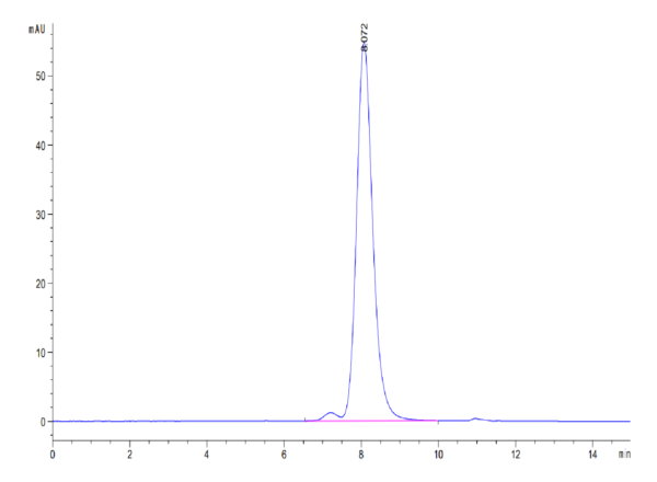 HPLC of Mouse VSTM5 Protein 3648