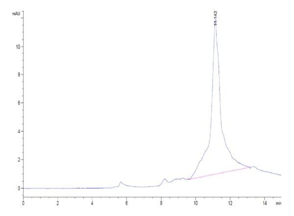 HPLC of Mouse PS20 Protein 3652