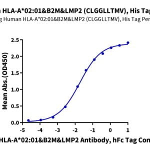 ELISA with Human HLA-A*02:01&B2M&LMP2 (CLGGLLTMV) Monomer Protein 3654