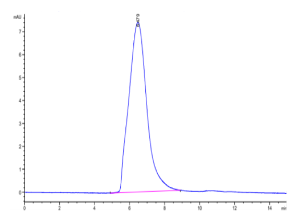 HPLC of Mouse MUC18/CD146 Protein 3655