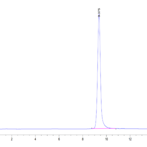 HPLC of Human Annexin V/ANXA5 Protein 3656