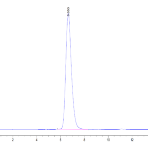 HPLC of Human CD164 Protein 3659