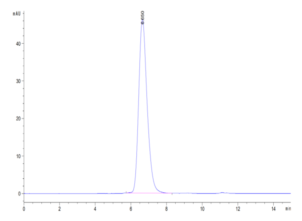 HPLC of Human CD164 Protein 3659