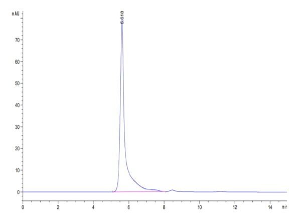 HPLC of Mouse Pentraxin 2/SAP Protein 3660