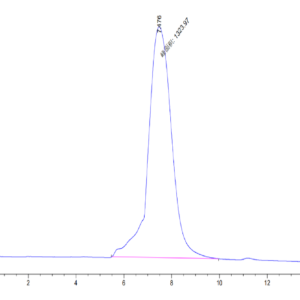 HPLC of Mouse CLEC-1 Protein 3663
