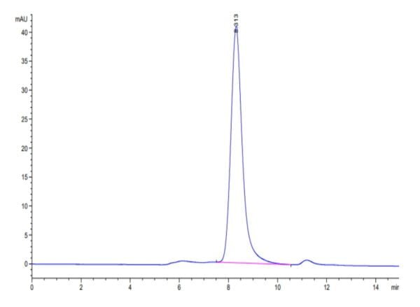 HPLC of Mouse SELL/CD62L Protein 3667