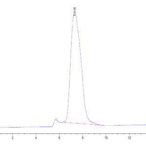 HPLC of Human ECSCR Protein 3673