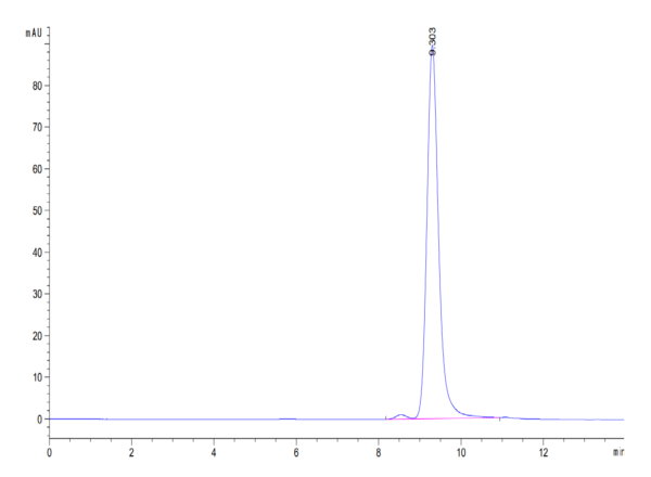 HPLC of Biotinylated Human CD161 Protein 3674