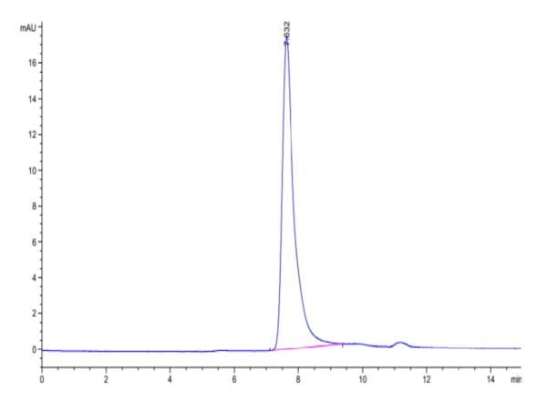 HPLC of Mouse PTN Protein 3677