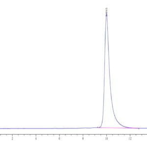 HPLC of Human/Cynomolgus/Rhesus macaque ROR1 (165-305, Frizzled Domain) 3688