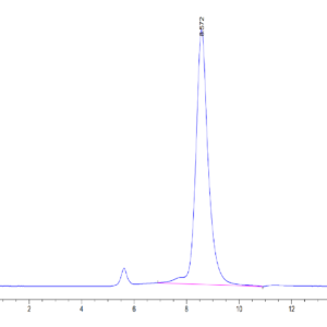 HPLC of Human GP1BB Protein 3701