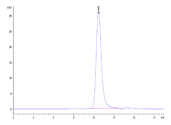 HPLC of Mouse FAM3D Protein 3703