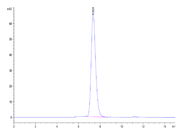 HPLC of Mouse MDL-1/CLEC5A Protein 3704