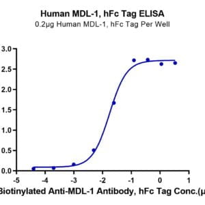 ELISA with Human MDL-1/CLEC5A Protein 3705