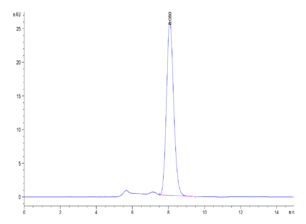 HPLC of Mouse TIGIT?Protein 3707