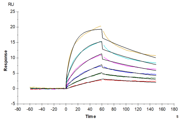 SPR with Mouse M-CSF R/CSF1R/CD115 Protein 3715