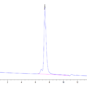 HPLC of Mouse CD31/PECAM-1 Protein 3723