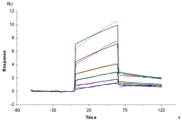 SPR with Mouse IL-20RA Protein 3729