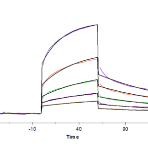 SPR with Human MMP-8 Protein 3731