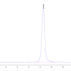 HPLC of Mouse ADAM8 Protein 3740