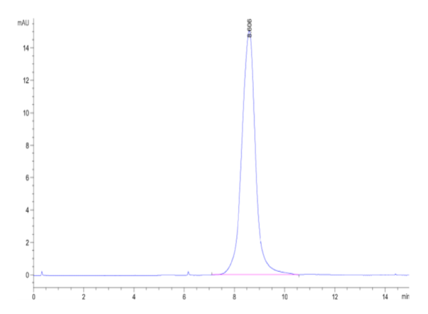 HPLC of Mouse ADAM8 Protein 3740