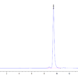 HPLC of Mouse ANXA1 Protein 3742