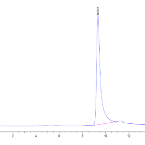 HPLC of Human IGFBP2 Protein 3764