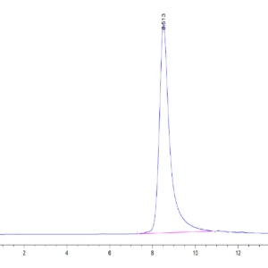 HPLC of Human CD10/MME Protein 3770