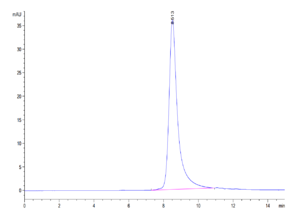 HPLC of Human CD10/MME Protein 3770