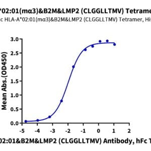 ELISA with Chimeric HLA-A*02:01 (mα3) &B2M&LMP2 (CLGGLLTMV) Tetra 3778