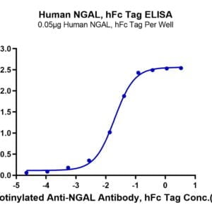ELISA with Human NGAL/Lipocalin-2 Protein 3779