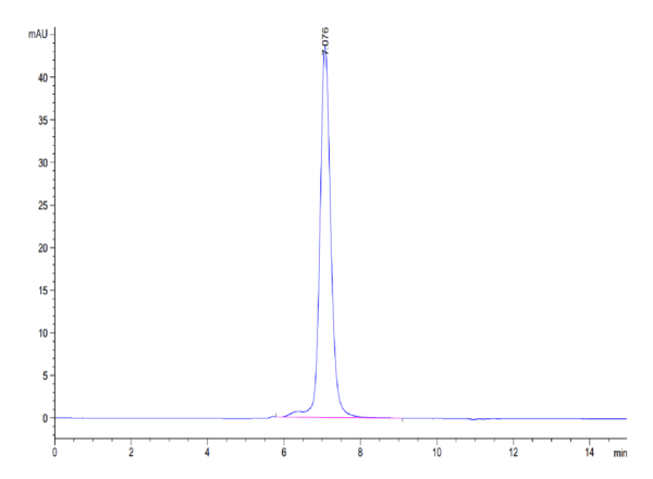 HPLC of Mouse RETN Protein 3785